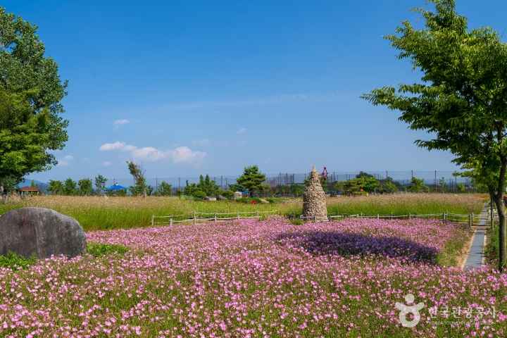 Daesan Flower Land
