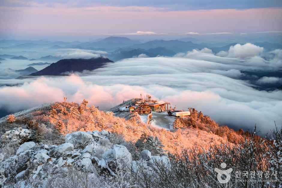 겨울왕국