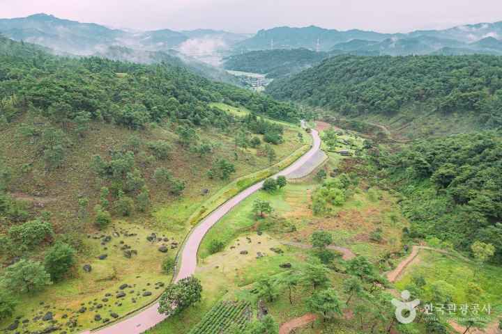 화순 고인돌 유적지