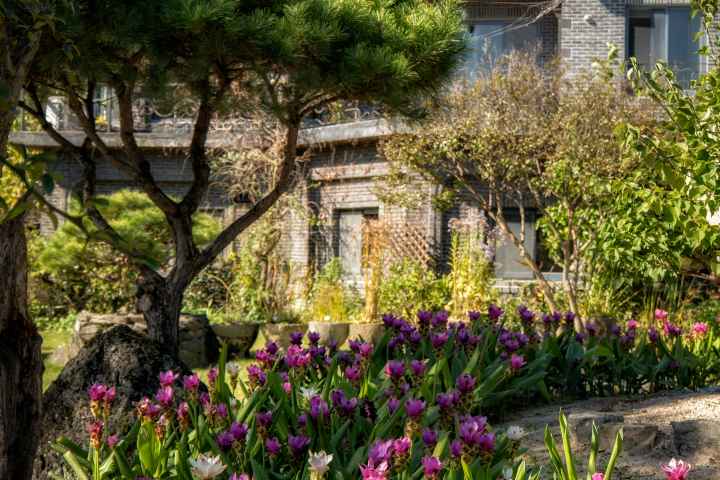 수생식물학습원