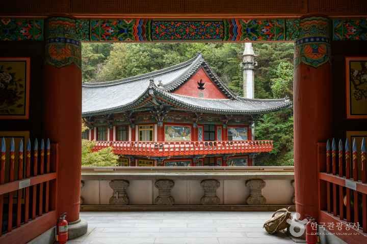 단양 구인사