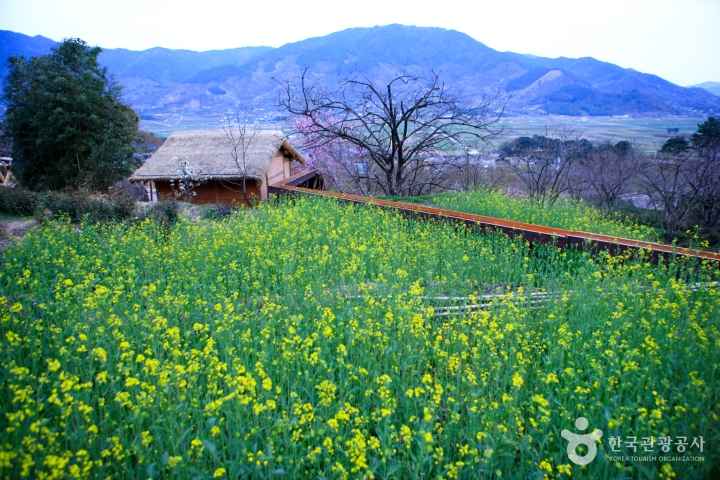a Background site of Novel 'Land' 