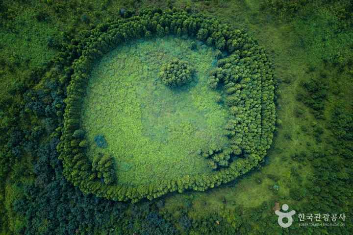 from the earth