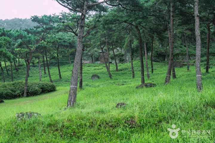 화순 고인돌 유적지