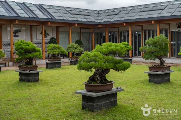 Sejong National Arboretum