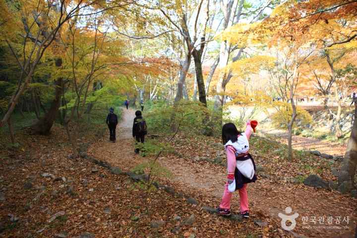 Mt. Naejangsan in Autumn 