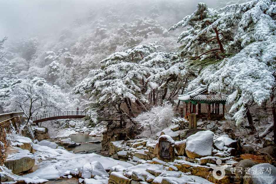 Snowscape of Hongnyudong Valley