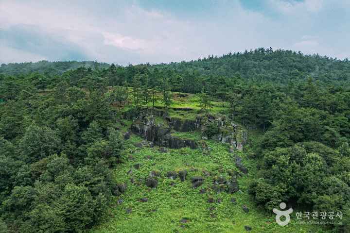 화순 고인돌 유적지
