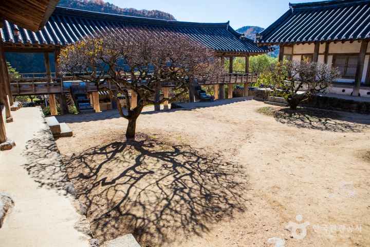 Byeongsanseowon Confucian Academy