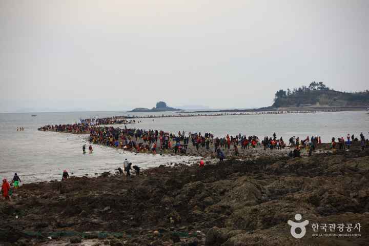 진도 신비의 바닷길 축제