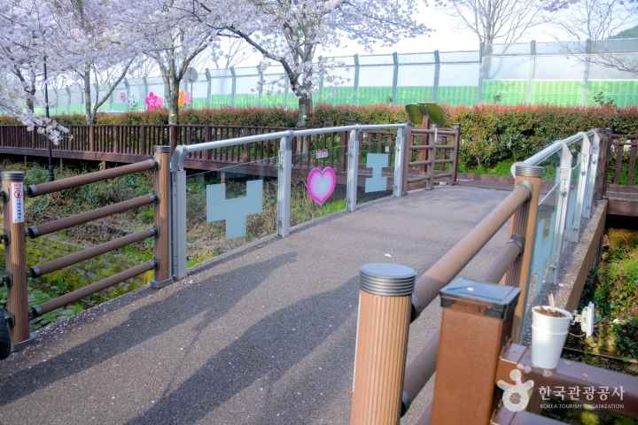 2024 진해군항제