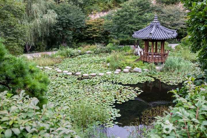 The Garden of Morning Calm