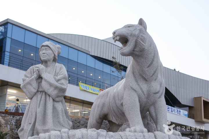 진도 신비의 바닷길 축제