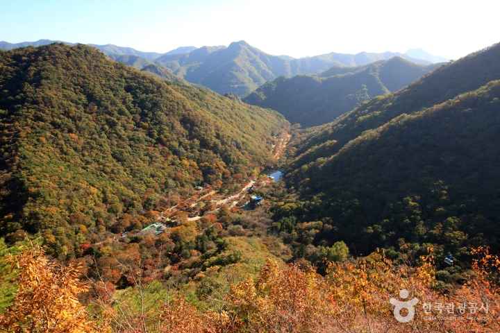 Mt. Naejangsan in Autumn 