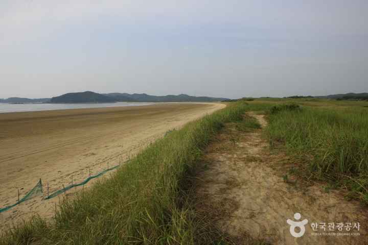 Sinduri sand dune 