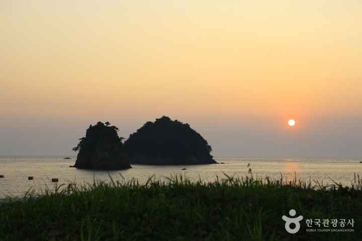 꽃지해수욕장