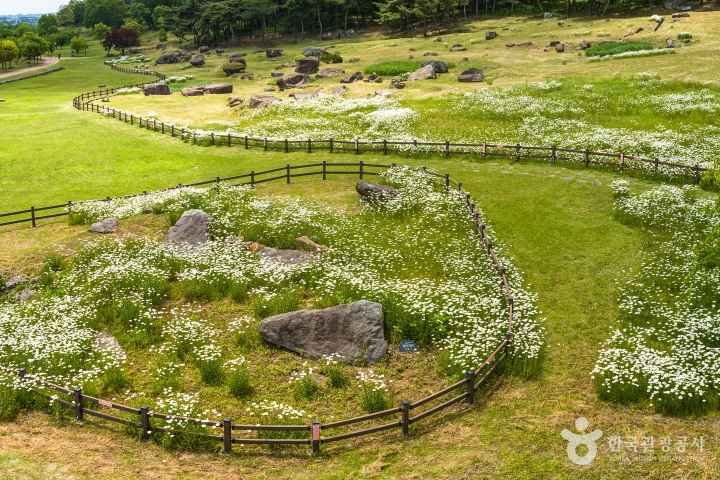 고창 고인돌 유적