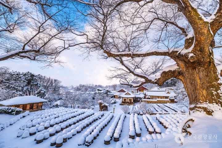 Traces of Winter at Myeongjae House