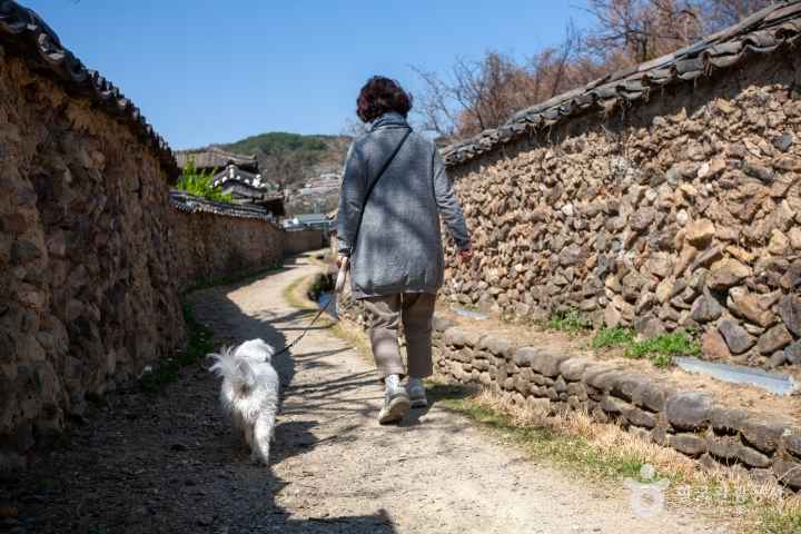 담양 창평 삼지내마을