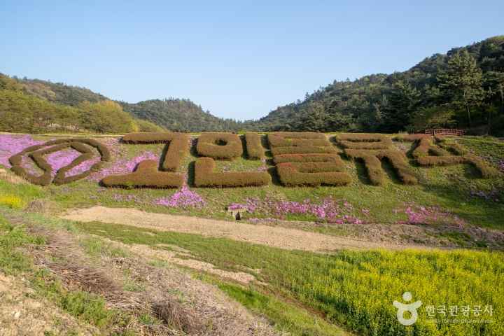 화순 고인돌 유적지