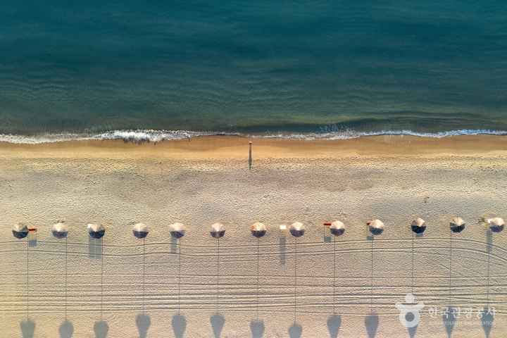 시간이 멈춘 겨울바다