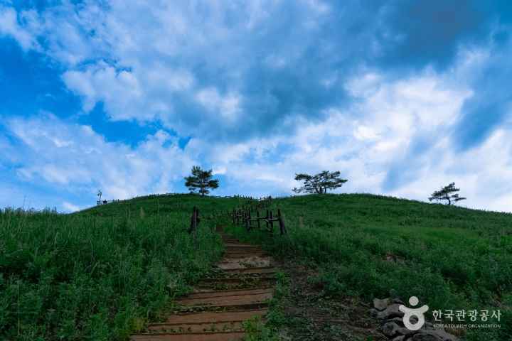 민둥산