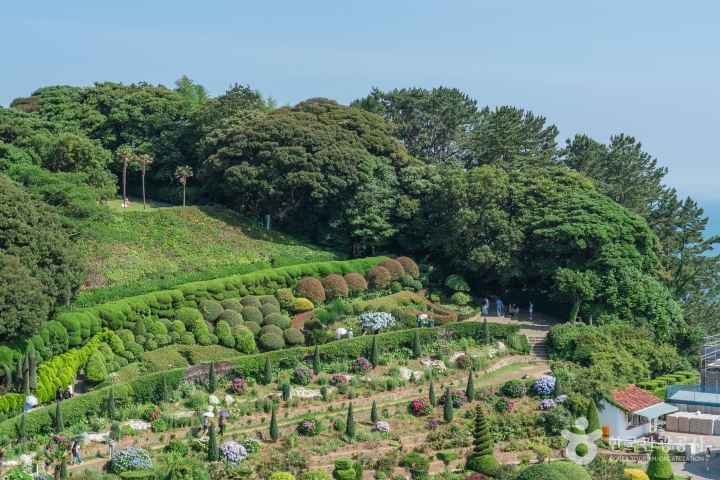 Geoje Oedo-Botania