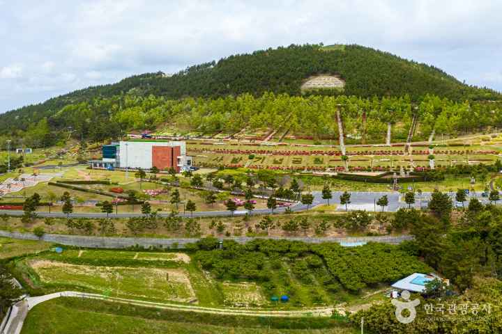 Erosion Control Memorial Park
