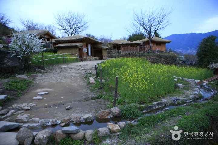 a Background site of Novel 'Land'