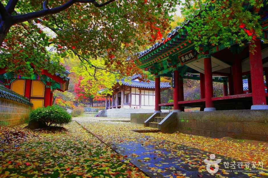 Autumn Hues of Chaemijeong Pavilion