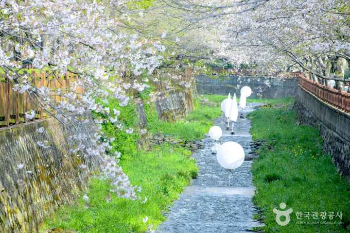 2024 진해군항제