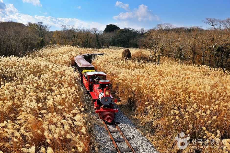Train Ride to Jeju
