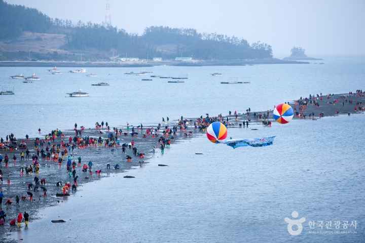 진도 신비의 바닷길 축제