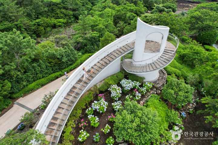 Camellia Hill