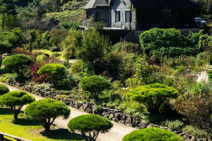 수생식물학습원