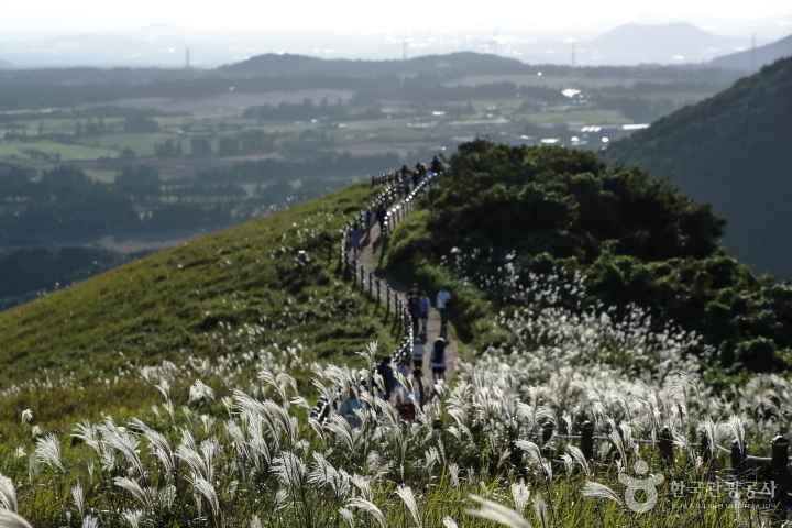 Saebyeol Oreum Volcanic Cone