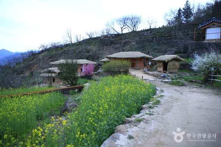 a Background site of Novel 'Land'