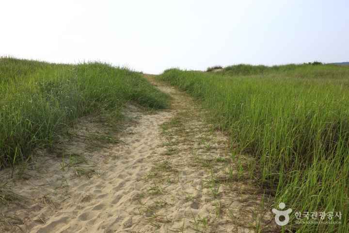Sinduri sand dune 