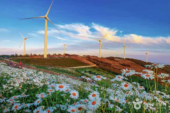 Summer of Cheongoksan Mountain