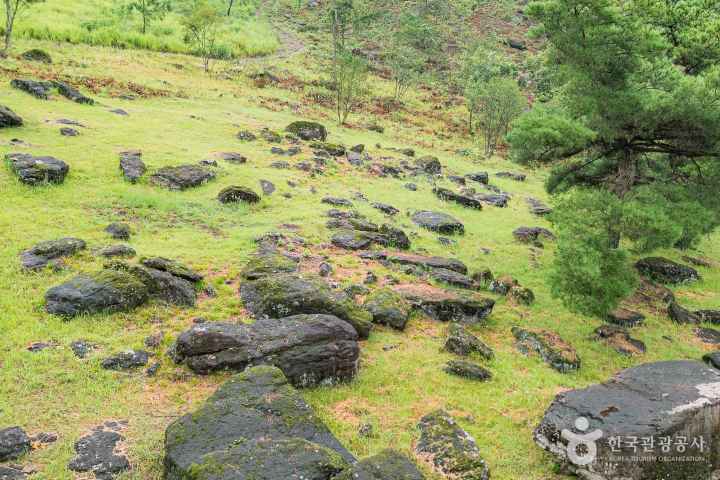 화순 고인돌 유적지