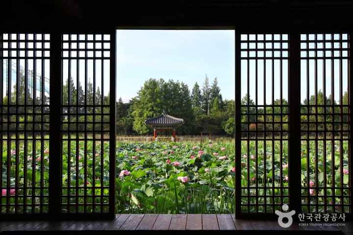 한국의 미를 더하다