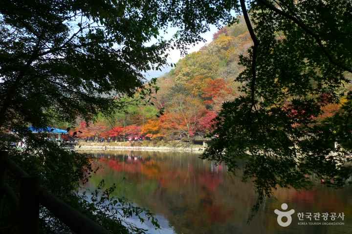 Mt. Naejangsan in Autumn 
