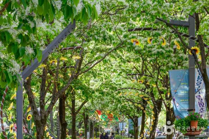 Yuseong Hot Springs Park
