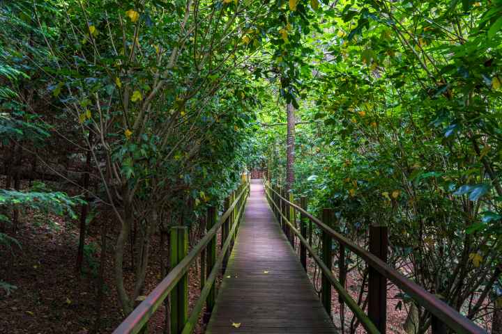 정남진 편백숲 우드랜드