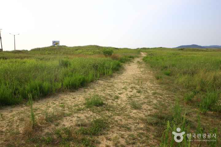 Sinduri sand dune 