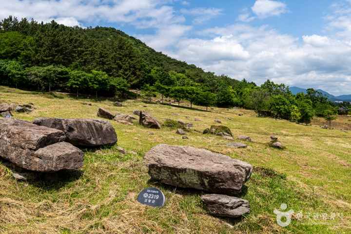 고창 고인돌 유적