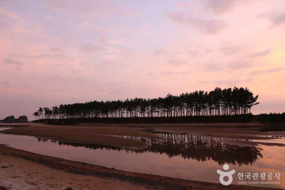 운여해변