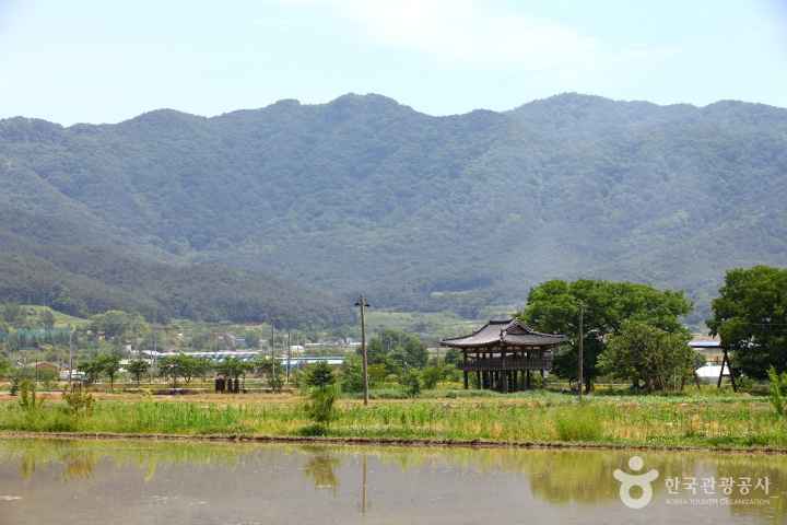 창평 삼지천슬로시티