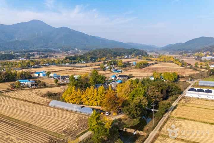 Cheongna Ginkgo Village