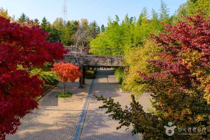 Seonyudo Park